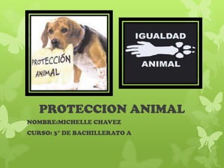 PROTECCION ANIMAL
NOMBRE:MICHELLE CHAVEZ
CURSO: 3° DE BACHILLERATO A
 