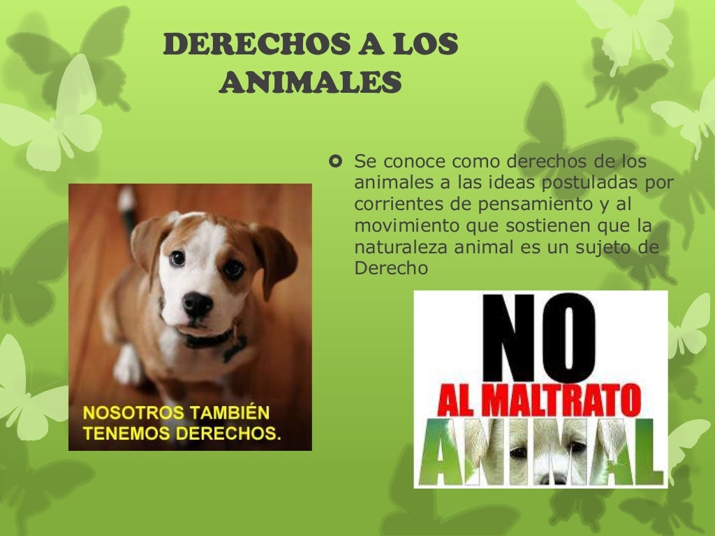 Proteccion animal diapositivas
