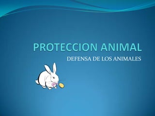DEFENSA DE LOS ANIMALES
 