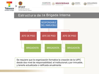 Estr uct ur a de l a Brigada Interna
RESPONSABLE
DEL INMUEBLE
JEFE DE PISO
BRIGADISTA
JEFE DE PISO
BRIGADISTA
JEFE DE PISO
BRIGADISTA
Se requiere que la organización formalice la creación de la UIPC
desde dos nivel de responsabilidad; el institucional y por inmueble,
y tenerla actualizada o ratificada anualmente
 