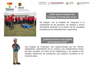 ¿Para qué se integran las
brigadas de Protección Civil?
Se integran con la finalidad de coadyuvar a la
salvaguarda de las personas, los equipos y acervo
documental existente en el interior de los inmuebles
ocupados por las dependencias u organismos
¿Quiénes forman una brigada
de Protección Civil?
Una brigada de Protección Civil estará formada por los mismos
trabajadores, dependiendo de su número y las características físicas
del área ocupada, así como de las instalaciones y de acuerdo a las
posibles situaciones de emergencia que pudieran suscitarse en un
momento dado.
 