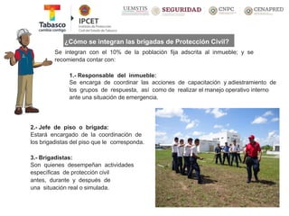 ¿Cómo se integran las brigadas de Protección Civil?
Se integran con el 10% de la población fija adscrita al inmueble; y se
recomienda contar con:
1.- Responsable del inmueble:
Se encarga de coordinar las acciones de capacitación y adiestramiento de
los grupos de respuesta, así como de realizar el manejo operativo interno
ante una situación de emergencia.
2.- Jefe de piso o brigada:
Estará encargado de la coordinación de
los brigadistas del piso que le corresponda.
3.- Brigadistas:
Son quienes desempeñan actividades
específicas de protección civil
antes, durante y después de
una situación real o simulada.
 