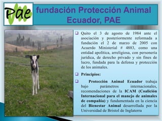 Quito el 3 de agosto de 1984 ante el
  asociación y posteriormente reformada a
  fundación el 2 de marzo de 2005 con
  Acuerdo Ministerial # 4883, como una
  entidad apolítica, arreligiosa, con personería
  jurídica, de derecho privado y sin fines de
  lucro, fundada para la defensa y protección
  de los animales.
 Principios:
        Protección Animal Ecuador trabaja
    bajo       parámetros        internacionales,
    recomendaciones de la ICAM (Coalición
    Internacional para el manejo de animales
    de compañía) y fundamentada en la ciencia
    del Bienestar Animal desarrollada por la
    Universidad de Bristol de Inglaterra
 