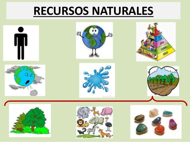los recursos naturales