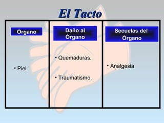 El TactoEl Tacto
Órgano Daño al
Órgano
Secuelas del
Órgano
• Piel
• Quemaduras.
• Traumatismo.
• Analgesia
 