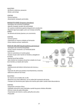 Estilete Insectos Segundo Parcial de Protecciones | PDF