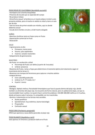 Estilete Insectos Segundo Parcial de Protecciones | PDF