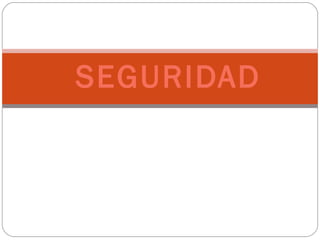 SEGURIDAD 