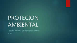 PROTECION
AMBIENTAL
MEYLING TATIANA GALINDO CASTELLANOS
11-02
 