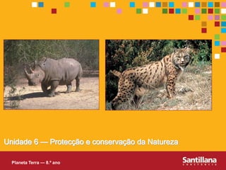 Unidade 6 — Protecção e conservação da Natureza

  Planeta Terra — 8.º ano
 