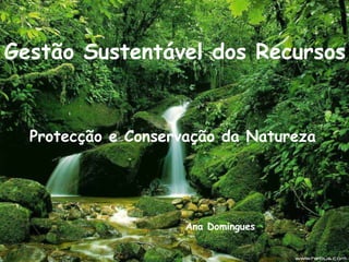 Gestão Sustentável dos Recursos Protecção e Conservação da Natureza Ana Domingues 
