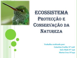 ECOSSISTEMAProtecção e Conservação da Natureza Trabalho realizado por:  		 	     Catarina Coelho Nº 228 Inês Maló Nº 236 Marta Cruz Nº242    