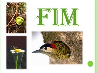 Riscos e benefício dos equipamentos tecnológicosPara produzir bens materiais para a sociedade é necessário que a ciência faça investigações. Como exemplo temos os leitores MP3, os televisores, as máquinas fotográficas e as consolas (Play station, X-Box, Wi). Estes equipamentos, á medida que a ciência e a tecnologia evoluem, vão caindo em desuso, acabando por ser substituídos por outros mais modernos. O e-lixo ou lixo electrónico são os equipamentos rejeitados pela sociedade ao longo do tempo e a quantidade destes equipamentos rejeitados é tão grande como a de plástico. 