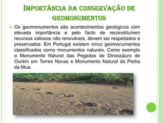 As Áreas Protegidas, em Portugal continental, são vinte e cinco: Um Parque Nacional, treze Parques Naturais, treze Reserva...