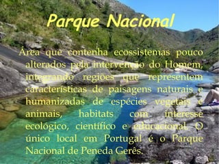 O aumento da urbanização 