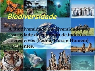 Biodiversidade A Biodiversidade é a diversidade e a variedade do conjunto de todos os seres vivos (Fauna, Flora e Homem) existentes. 