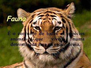Faun a É o conjunto de todas as espécies animais que vivem numa determinada área ou ecossistema. 