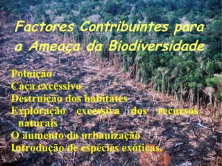 Factores Contribuintes para a Ameaça da Biodiversidade Poluição 