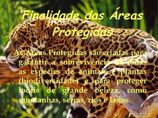 Destruição dos habitates 