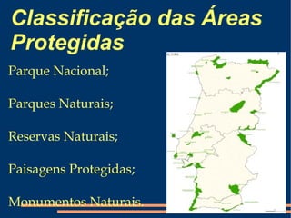 Exploração excessiva dos recursos naturais 