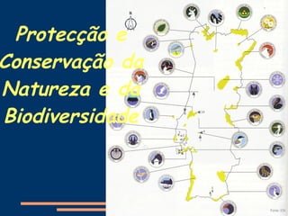 Protecção e Conservação da Natureza e da Biodiversidade 