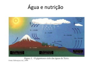 Água e nutrição