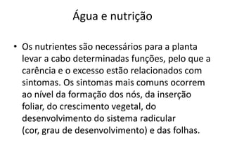 Água e nutriçãoOs nutrientes são necessários para a planta levar a cabo determinadas funções, pelo que a carência e o excesso estão relacionados com sintomas. Os sintomas mais comuns ocorrem ao nível da formação dos nós, da inserção foliar, do crescimento vegetal, do desenvolvimento do sistema radicular (cor, grau de desenvolvimento) e das folhas.