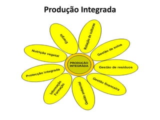 Produção Integrada