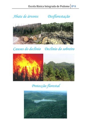 Protecção florestal