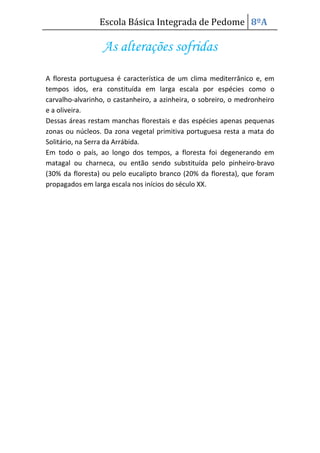 Protecção florestal