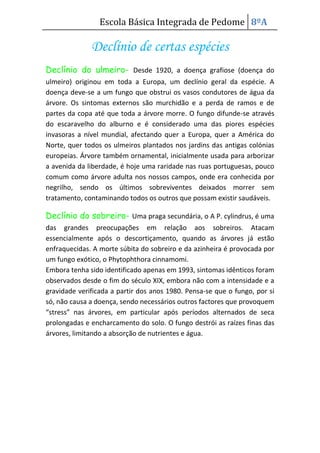 Protecção florestal