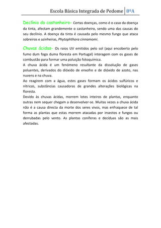 Protecção florestal