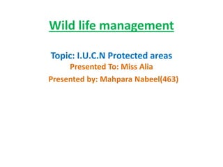 Wild life management
Topic: I.U.C.N Protected areas
Presented To: Miss Alia
Presented by: Mahpara Nabeel(463)
 