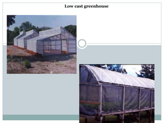 Low cast greenhouse
 