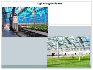 High cast greenhouse
 