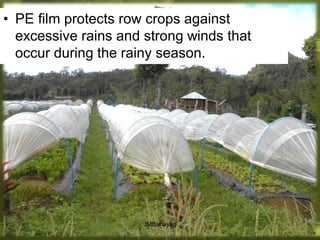 • PE film protects row crops against
excessive rains and strong winds that
occur during the rainy season.
JMBanayag
 