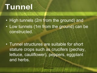 • High tunnels (2m from the ground) and
• Low tunnels (1m from the ground) can be
constructed.
• Tunnel structures are suitable for short
stature crops such as crucifers (pechay,
lettuce, cauliflower), peppers, eggplant
and herbs.
JMBanayag
 