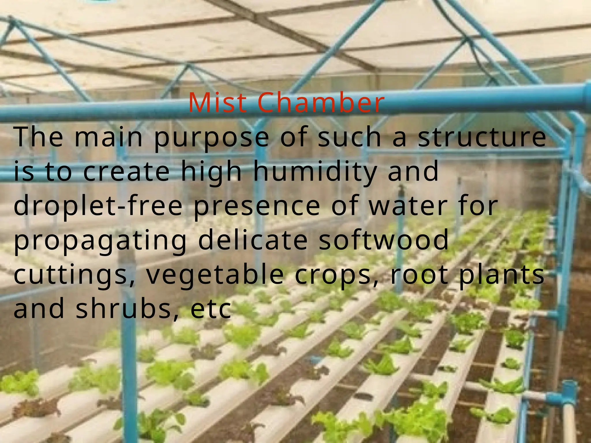 Mist Chamber
The main purpose of such a structure
is to create high humidity and
droplet-free presence of water for
propagating delicate softwood
cuttings, vegetable crops, root plants
and shrubs, etc
 