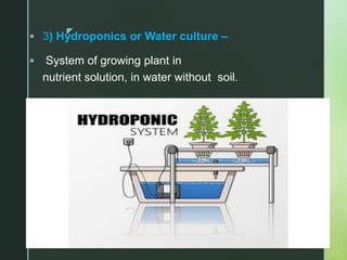z
 3) Hydroponics or Water culture –
 System of growing plant in
nutrient solution, in water without soil.
 