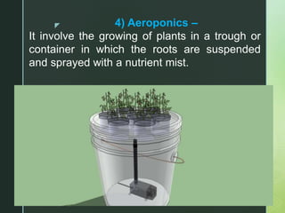 z 4) Aeroponics –
It involve the growing of plants in a trough or
container in which the roots are suspended
and sprayed with a nutrient mist.
 