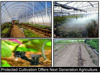 z
Protected Cultivation Offers Next Generation Agriculture.
 