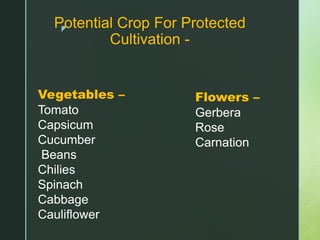 z
Potential Crop For Protected
Cultivation -
Vegetables –
Tomato
Capsicum
Cucumber
Beans
Chilies
Spinach
Cabbage
Cauliflower
Flowers –
Gerbera
Rose
Carnation
 