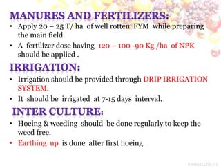 Fym Well Rotted Protected Cultivation -shadenet and polyhouse | PPTX