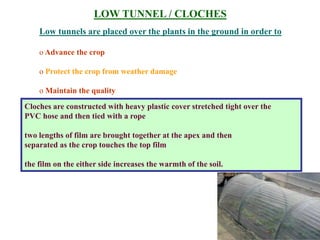 Low tunnels are placed over the plants in the ground in order to
o Advance the crop
o Protect the crop from weather damage
o Maintain the quality
LOW TUNNEL / CLOCHES
Cloches are constructed with heavy plastic cover stretched tight over the
PVC hose and then tied with a rope
two lengths of film are brought together at the apex and then
separated as the crop touches the top film
the film on the either side increases the warmth of the soil.
 