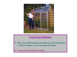 Lean-to greenhouses
 They are small domestic greenhouses erected against
a wall of a house as an extension of a home.
 Vents are provided for cooling
 