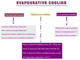 Fan and pad system High pressure misting Low pressure misting
Use of low velocity large volume fans
Draw moist air through cellulose pad
Exhaust fan should be within 9 m to avoid hot spot
Increase in RH may be controlled by humidistat
Misting with overhead sprinklers
Reduces air temperature by 5o C
Water falls on leaves as droplet
--------------------------------------
Water is sprayed at high pressure (30 – 70 kg / m2)
Water is sprayed as fine mist and it cools the air
Mist evapourates before reaching the plant canopy
Air temperature drops by 5 – 10 o C
 