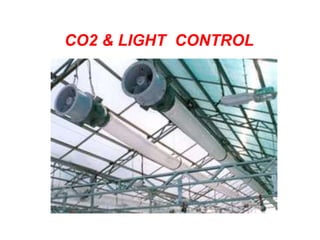 CO2 & LIGHT CONTROL
 