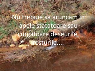 Nu trebuie sa aruncam in apele statatoare sau curgatoare deseurile, resturile....