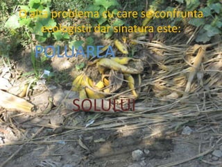 O alta problema cu care se confrunta ecologistii dar sinatura este:     POLUAREA               SOLULUI