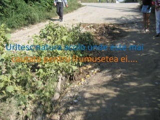 Uritesc natura acolo unde este maicautata pentru frumusetea ei....